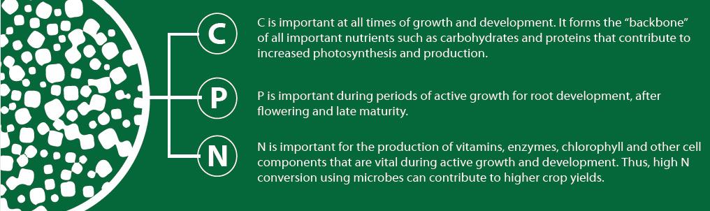Soil Health